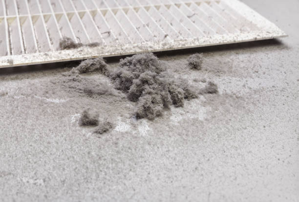 Best Best Air Duct Cleaning Company  in Manning, IA