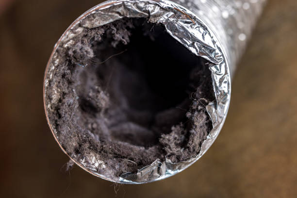 Best Professional Duct Cleaning Services  in Manning, IA